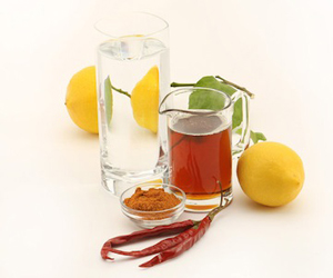 Master Cleanse Diet Tips « Lemonade Diet Blog